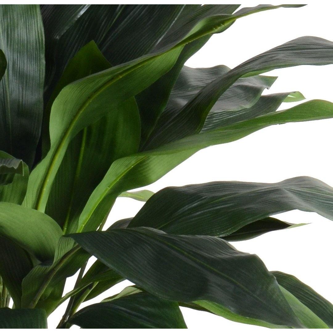 ARTIFICIAL ASPIDISTRA PLANT