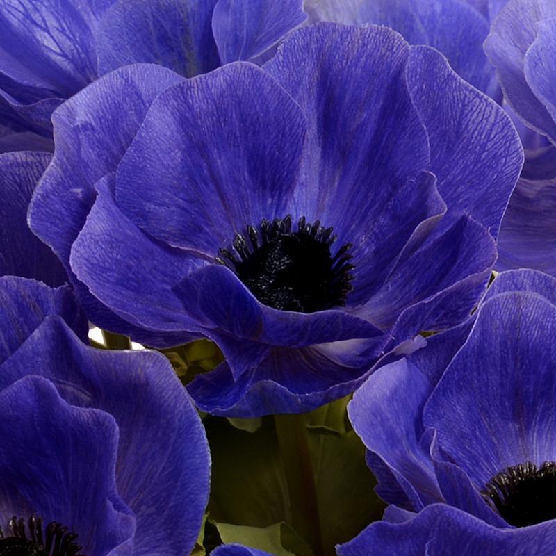 ARTIFICIAL VIOLET ANEMONE ARRANGEMENT