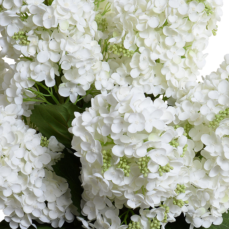 ARTIFICIAL WHITE SNOWFLAKE (PEE GEE) HYDRANGEA IN GLASS