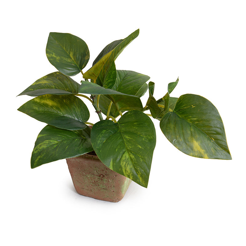ARTIFICIAL POTHOS (SCINDAPSUS) IN CLAY POT