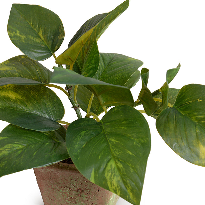 ARTIFICIAL POTHOS (SCINDAPSUS) IN CLAY POT