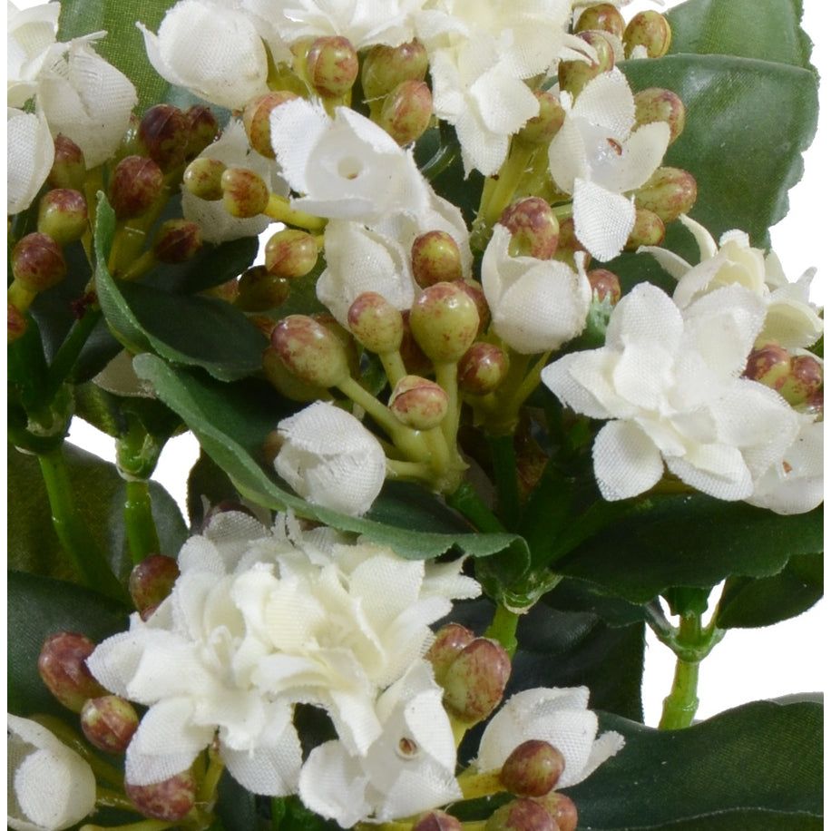 ARTIFICIAL SMALL WHITE KALANCHOE
