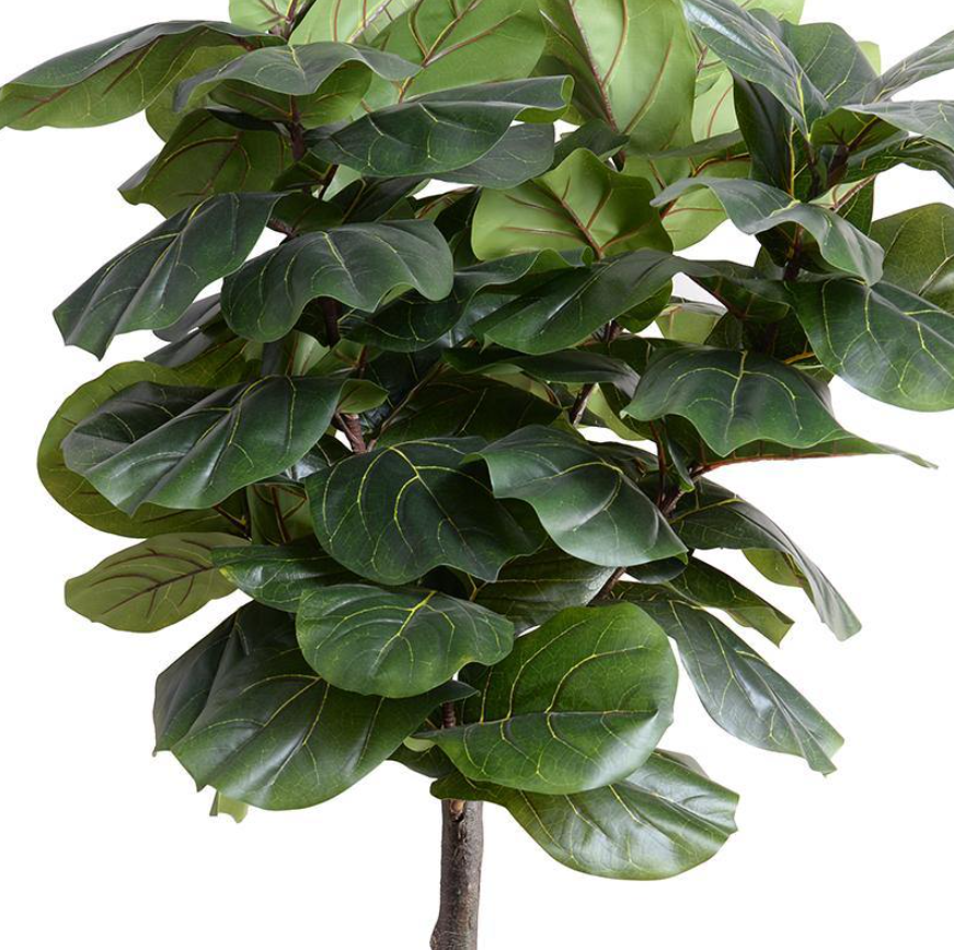 ARTIFICIAL FIDDLE LEAF FIG TREE - 6.5'