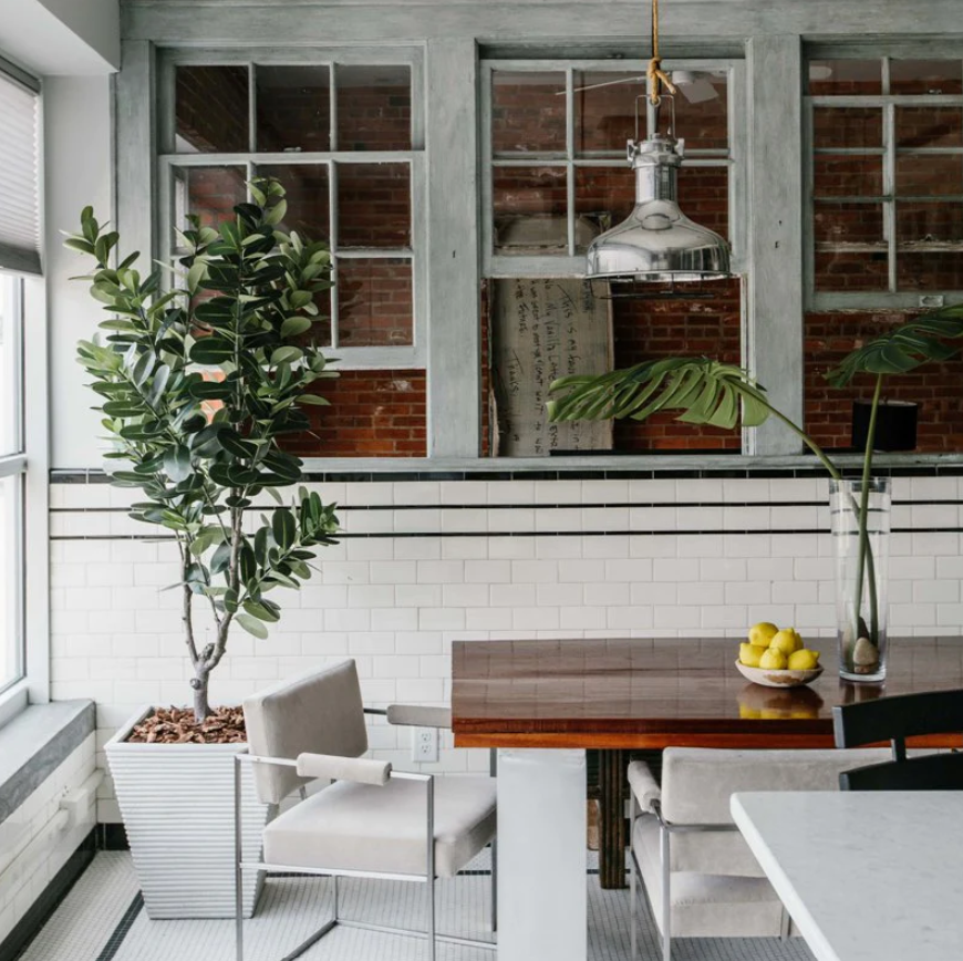 ARTIFICIAL JAPANESE FUKUJI RUBBER TREE - 6.5'