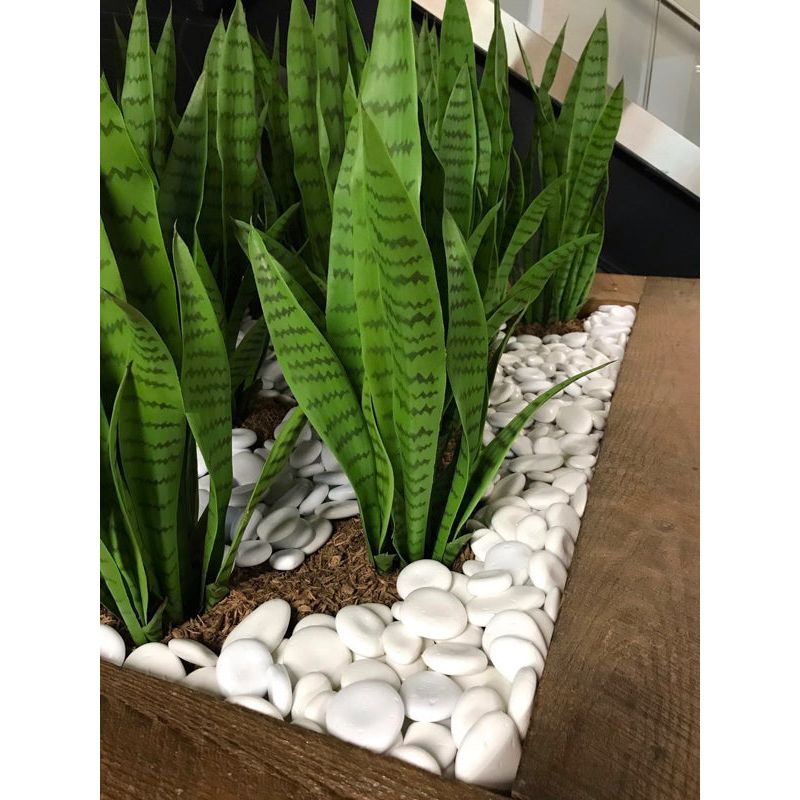ARTIFICIAL SNAKE PLANT (SANSEVIERIA)