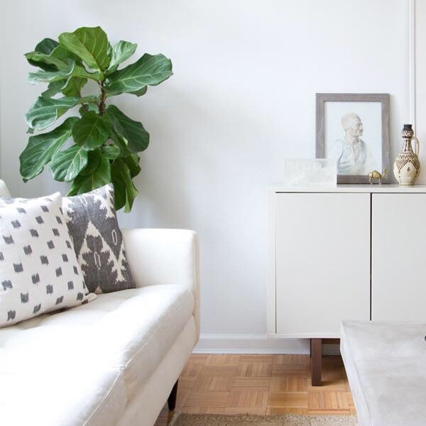 Kufri Rex Designer Pillow in Natural