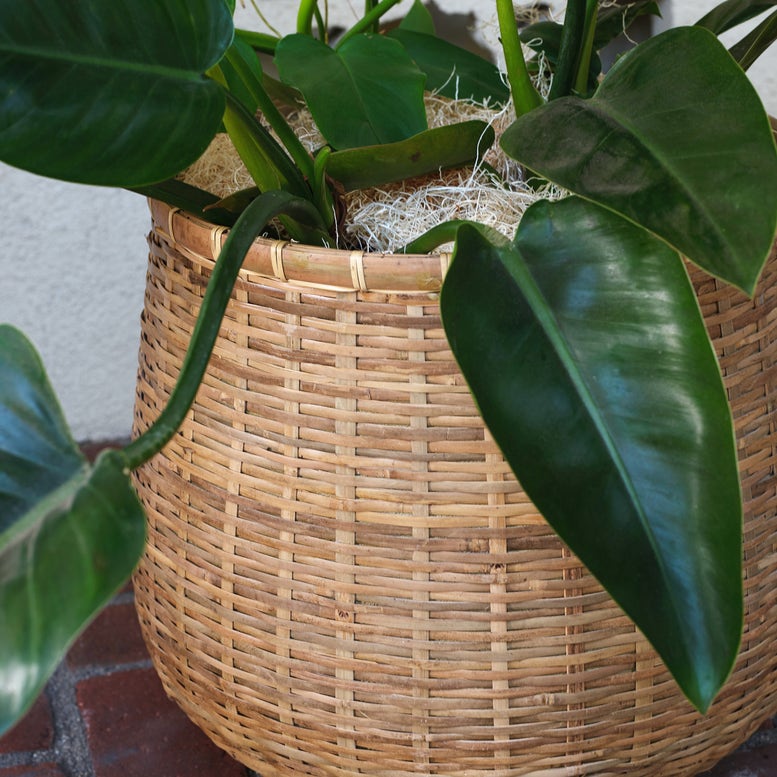 MOSLEY ROUND PLANTER SET OF 2