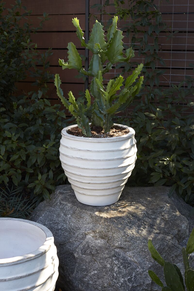 PORTO PLANTER