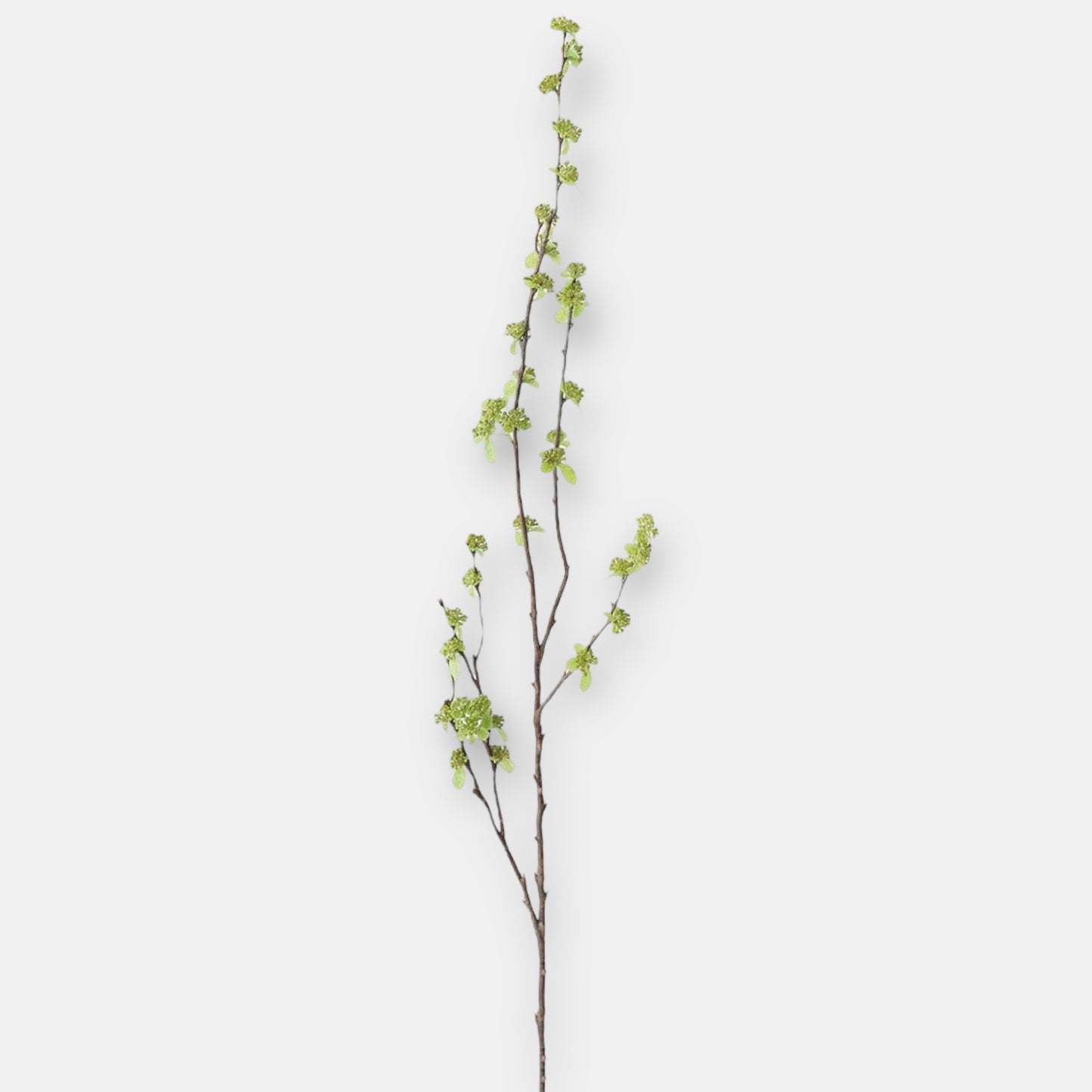 BRANCH WITH GREEN BUDS - 40"