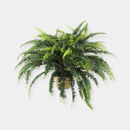 ARTIFICIAL SMALL FOREST FERN