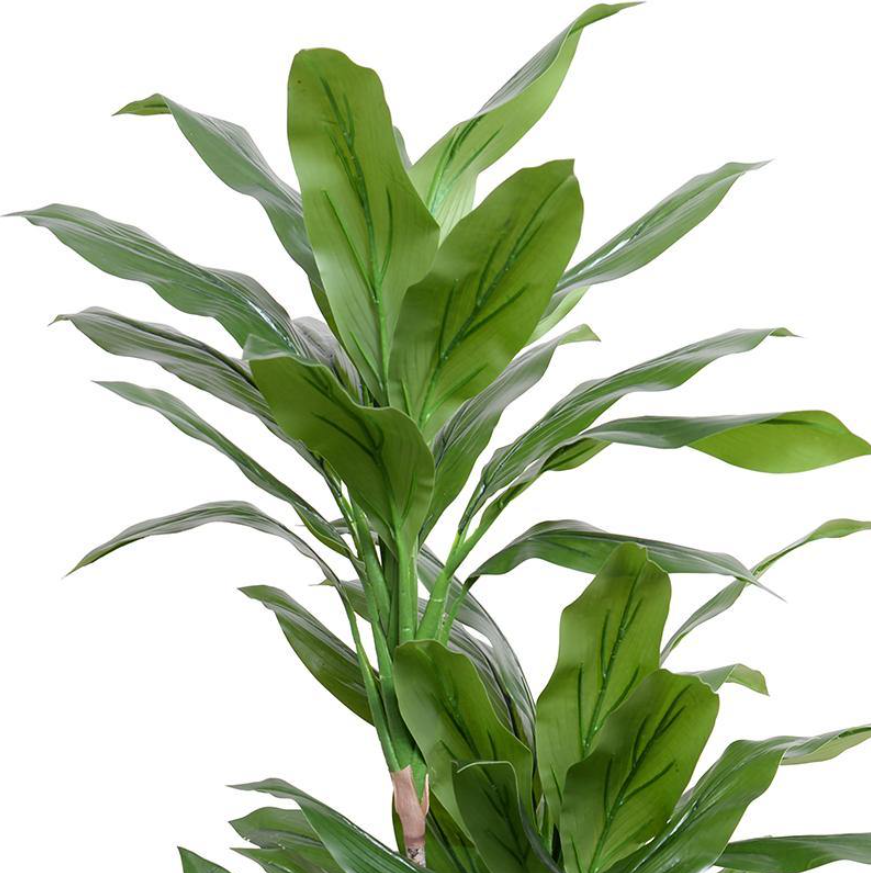 ARTIFICIAL GREEN DRACAENA IN ROUND POT - 52"H