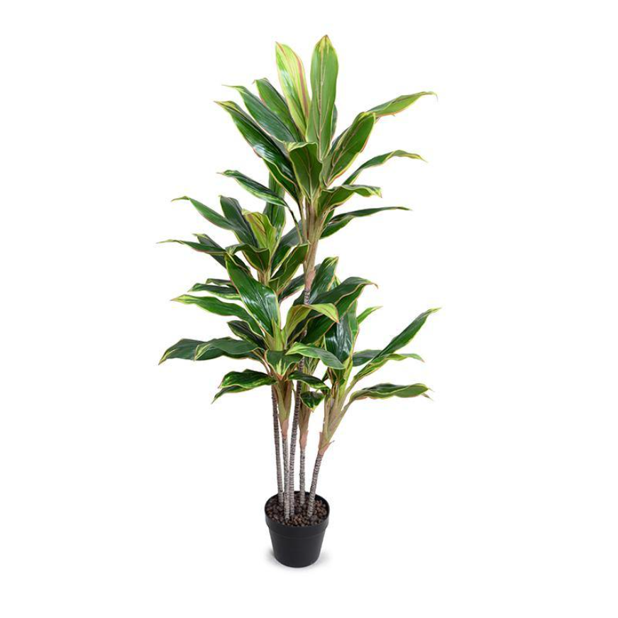 ARTIFICIAL YELLOW/GREEN DRACAENA IN ROUND POT - 52"H