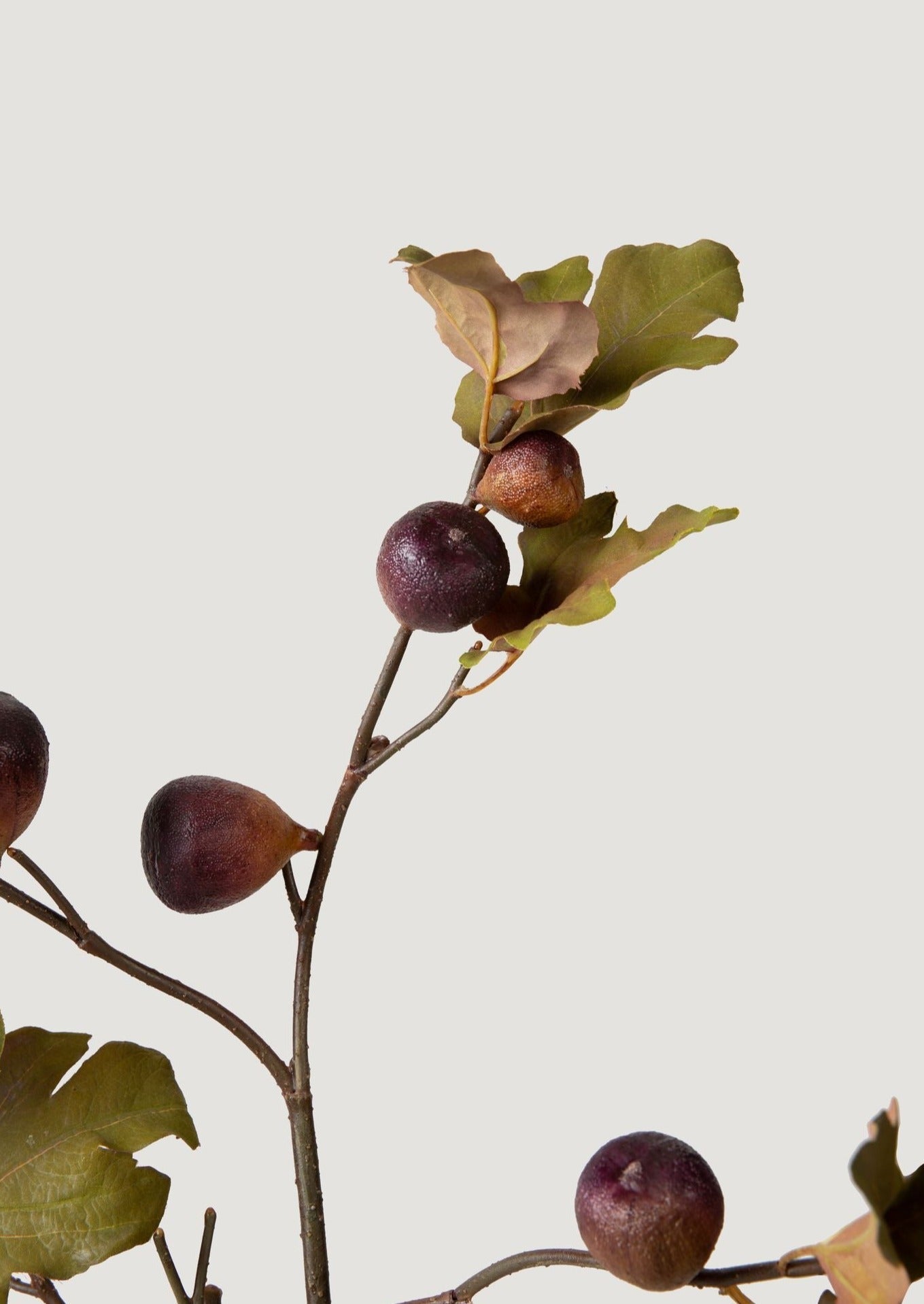 Dried Look Faux Fig Branch in Eggplant - 37"