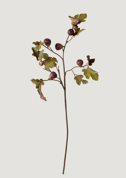 Dried Look Faux Fig Branch in Eggplant - 37"